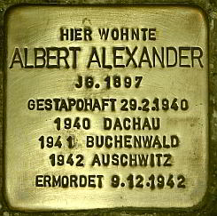 stein_alexander_albert