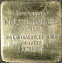 stein_halpern_melanie