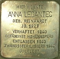 stein_ledantec_anna_kl