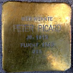 stein_PICARD_peter